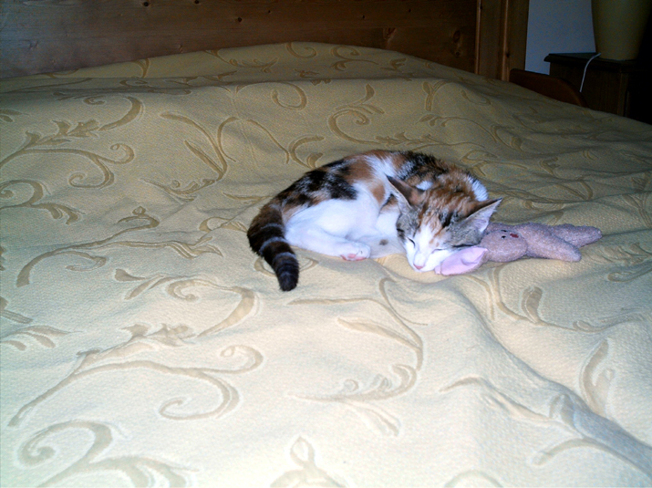 Caramel 08-04 035.jpg
